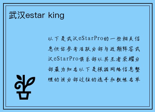 武汉estar king